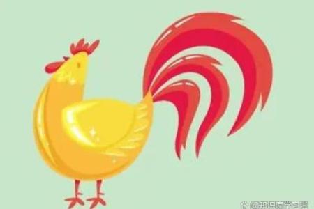 腊月出生的属鸡人:命运与性格的深度探究