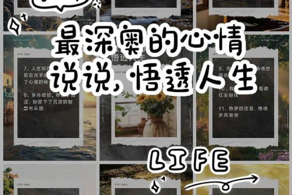 男人说他命不好，究竟暗藏着怎样的生活哲理？
