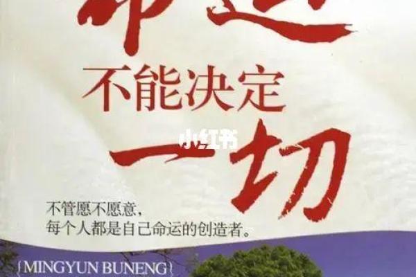 命里带灵气，探寻命运与灵魂的奥秘之旅