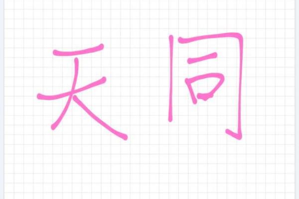 女命命宫天相天魁：命理中的吉星引导与人生智慧