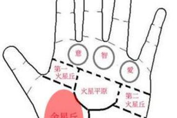 金星之命：如何在命理中解读金星的影响与意义