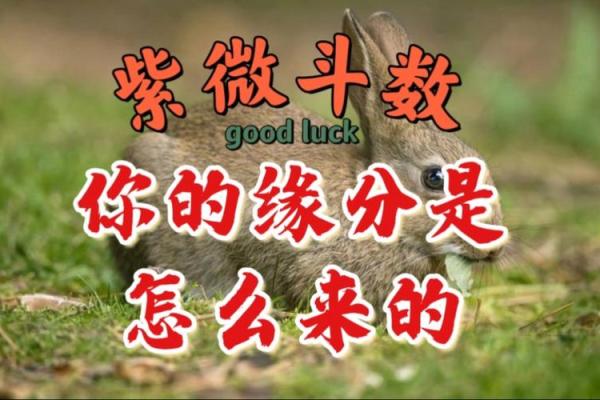 女命婚姻宫在七杀：解读命局中的情感缘分与挑战