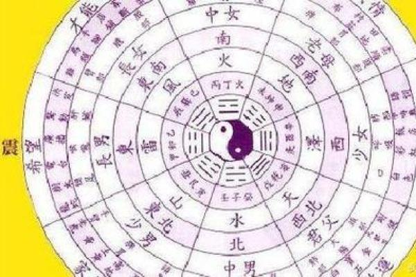 女生菊花命：探寻命理中的美丽与智慧