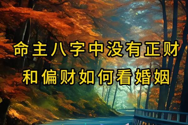 女命八字解析：如何判断能否出国的关键因素
