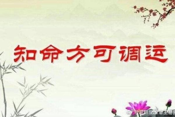 揭开命理之谜：为什么阴阳之道决定我们的命运