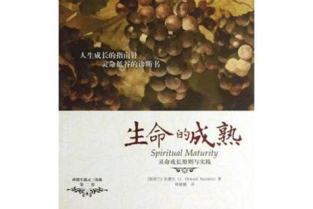 探讨命轻命重:生活中的选择与命运的交织