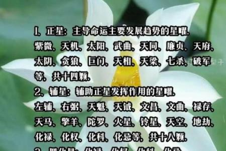 女命命宫天相天魁：命理中的吉星引导与人生智慧