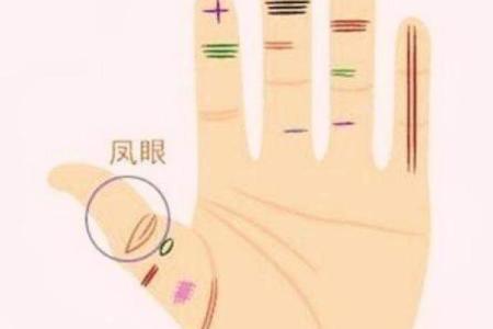 探秘“难享妻福”的命理深意与人生态度