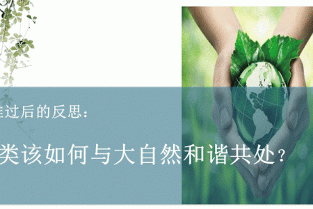 炉中火命与木命的和谐碰撞:寻求生命的平衡与成长
