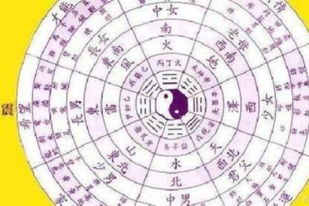 女生菊花命:探寻命理中的美丽与智慧
