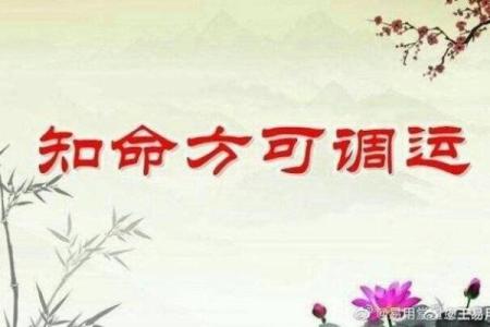 揭开命理之谜:为什么阴阳之道决定我们的命运
