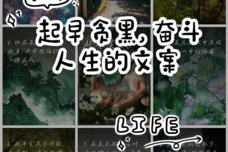 命里披星戴月,暗藏人生的奇妙旅程