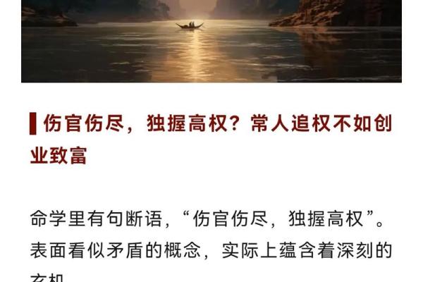 命局中木为财的玄机与人生启示