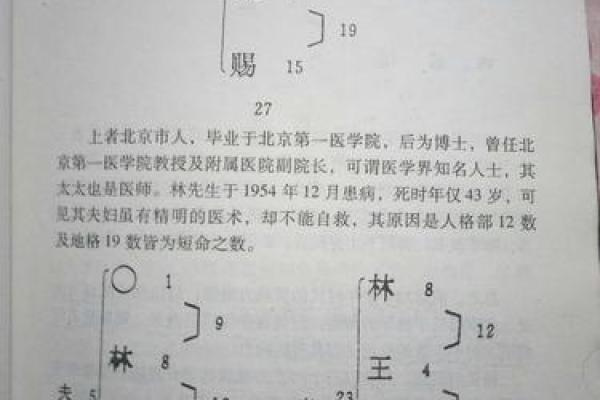 命局中木为财的玄机与人生启示