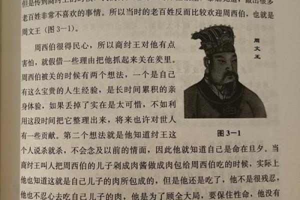 命教：探索生命的深层意义与智慧之道
