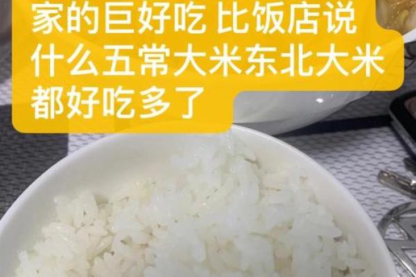 女命比食的深刻解读与生活启示