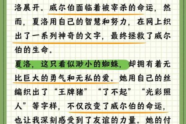 年命落乾宫的深意与启示：智慧与命运的交织