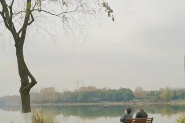 探索玛瑙命的人：他们的性格与人生旅程