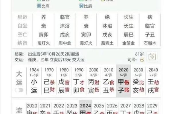 命局组合形式解密：如何通过八字看人生走向与潜力