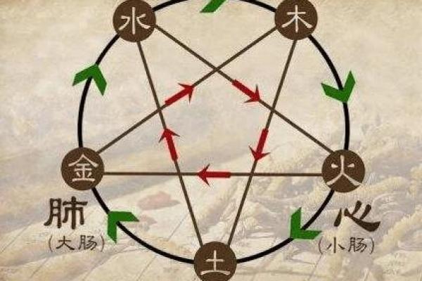 木命与水命经营之道：揭秘适合创业者的生意选择