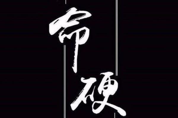 命硬的两兄弟：逆境中的坚韧与希望