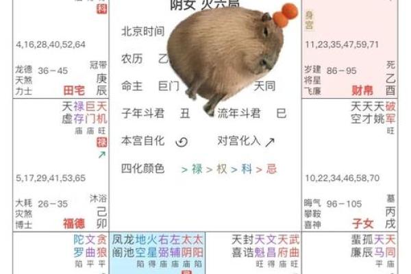 女命丑戌未三刑：命理解析与人生影响的深度剖析