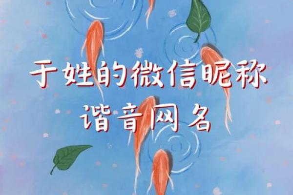 命理缺水，微信昵称的创意与选择指南