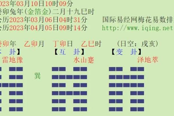 深入解析乙卯女命：独特命格背后的智慧与魅力