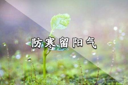 命理解析:阳气不足的根源与调和之法