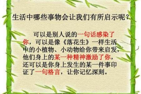 女命比食的深刻解读与生活启示
