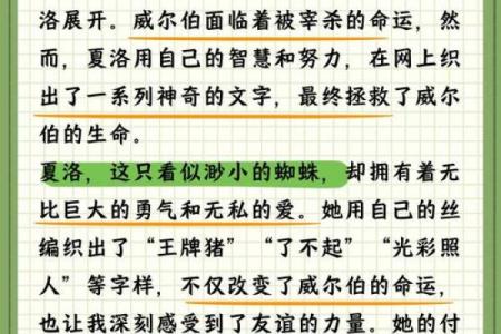 年命落乾宫的深意与启示:智慧与命运的交织
