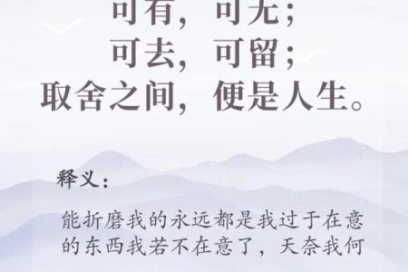命里有争夫相,探索婚姻中的隐秘密码与人生智慧