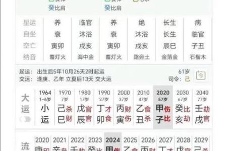 命局组合形式解密：如何通过八字看人生走向与潜力