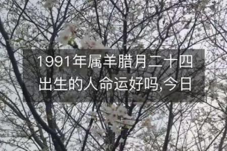 破解命理之谜:九一年属羊五行命理大揭秘!