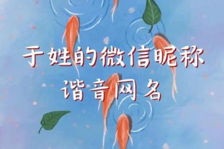 命理缺水,微信昵称的创意与选择指南