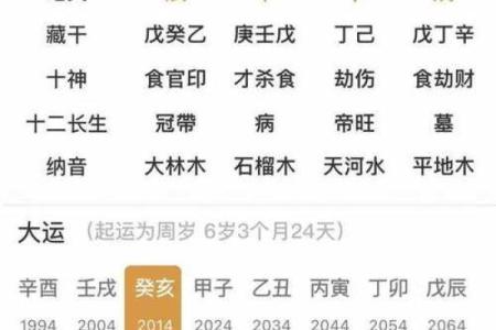 解密女命八字中的食神：命理中的福气与智慧