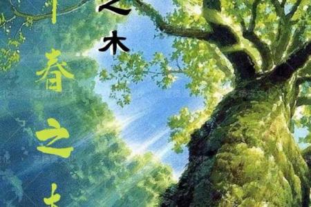 男人的五行属水:深邃智慧与温柔力量的结合之命