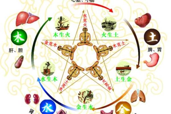 探讨木命与哪些命相克，不适合生意合作的深度分析