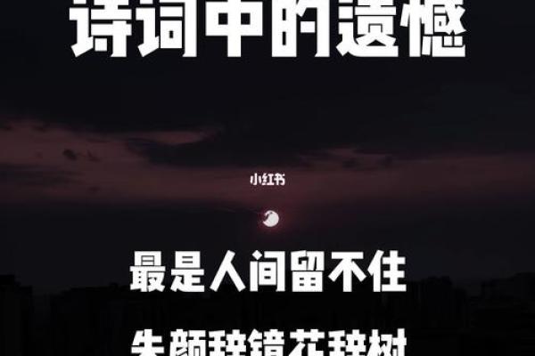 人生的遗憾：未曾走过的路与错过的风景
