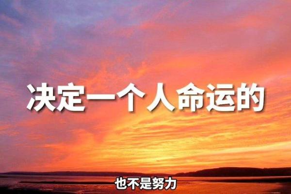 探索1994年腊月初六出生的人生命运与性格解析