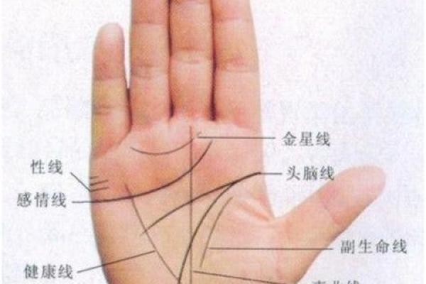 探秘龙年9月出生者的命格特征：运势与人生的独特之旅