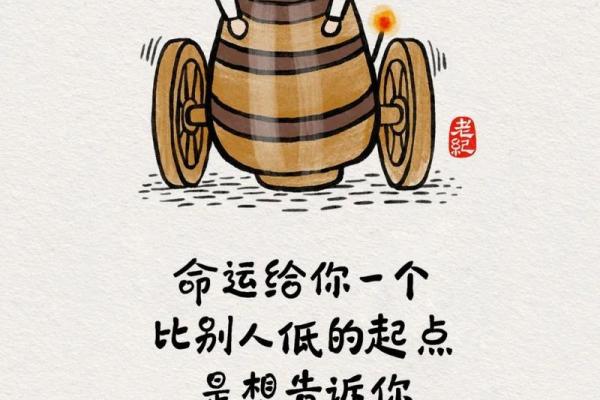 命好的人与吸引力：他们吸引的是什么样的人？