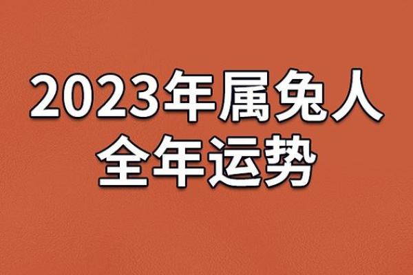 探索男命金匮：解读命理学中的神秘象征