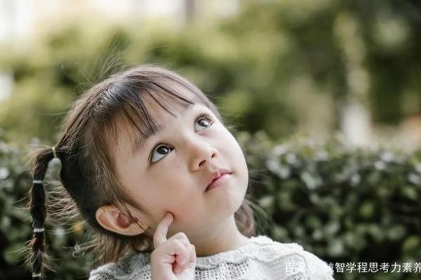 六二年属虎的人命运揭秘：他们的性格与人生轨迹