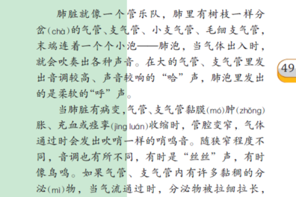 命运与生命的交响曲：探寻命能的深层含义与智慧