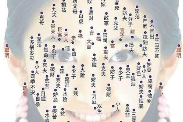 女生什么面相才好看命好？教你识别好面相！