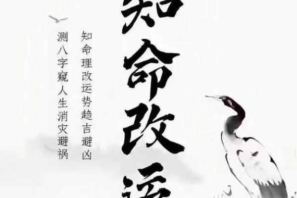命理探秘：正官与正印，人生运势的双重钥匙