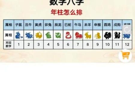 揭秘「命财」:让我们一起了解命理与财富的深层联系!