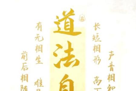 命里的柤生:理解生命的深意与哲学转化
