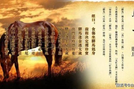 女命年柱有驿马的解读与生活启示
